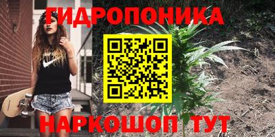 кокс Чебоксары