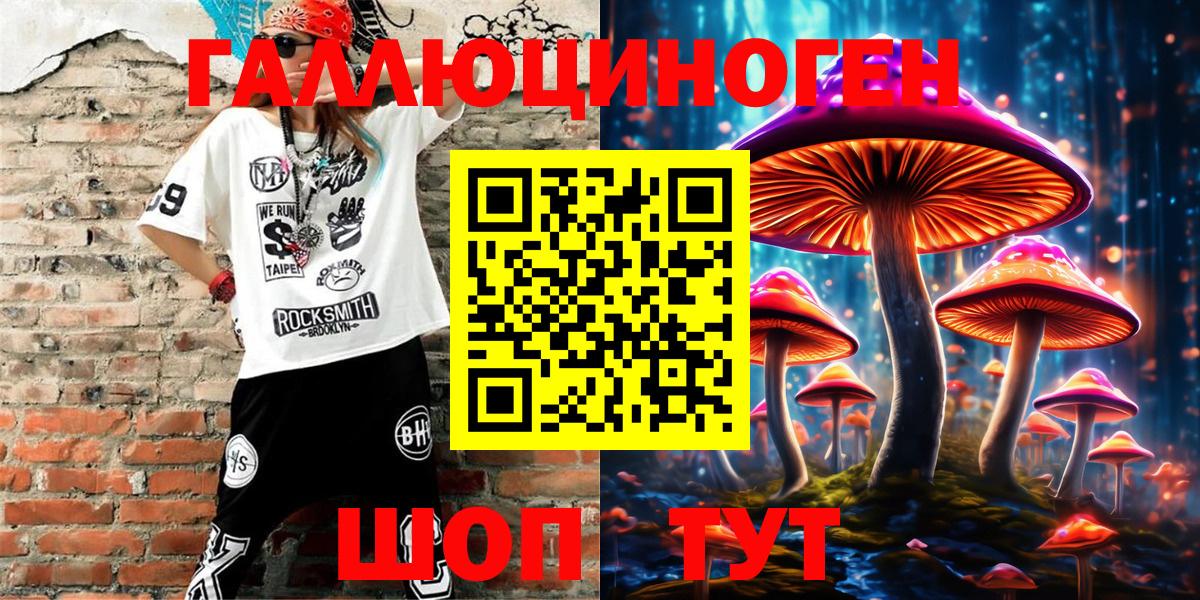 Псилоцибиновые грибы Psilocybe Малгобек